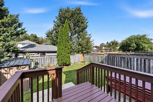 Deck and backyard