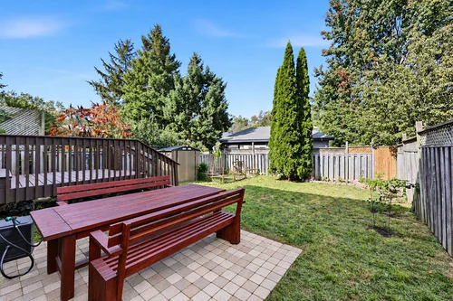 Patio and backyard
